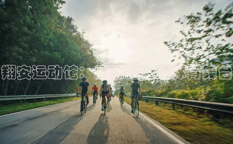 翔安运动馆：展现活力的体育舞台