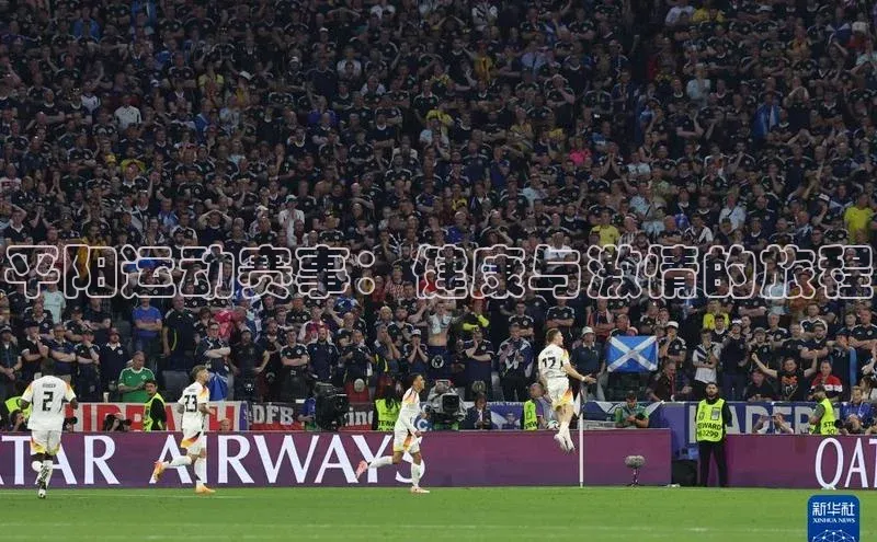 平阳运动赛事：健康与激情的旅程