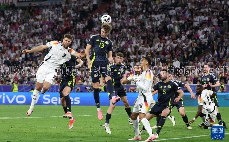 国内最新运动赛事全景：激情与竞技的无限可能