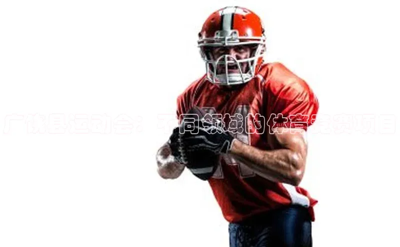 广饶县运动会：不同领域的体育竞赛项目