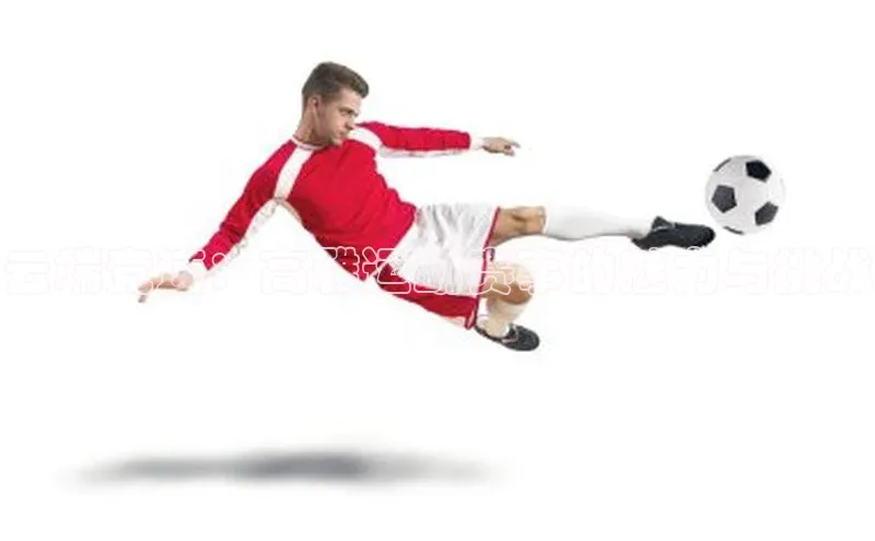 云端竞速：高雅运动赛事的魅力与挑战