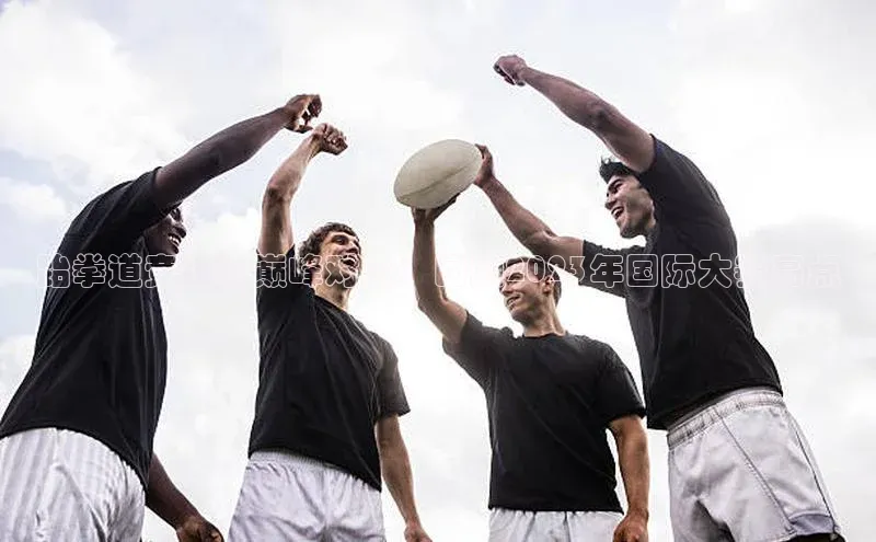 跆拳道竞技的巅峰对决：回顾2023年国际大赛亮点