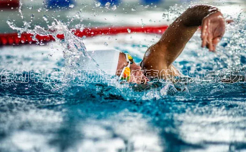 绿动中原：郑州运动赛事的活力与魅力