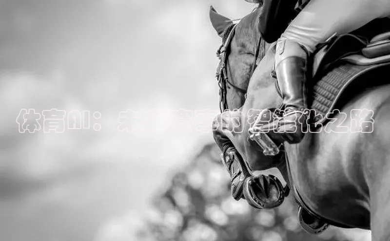 体育AI：未来赛事的智能化之路