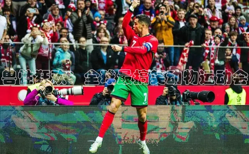 兽性狂欢：全球最搞笑动物运动会