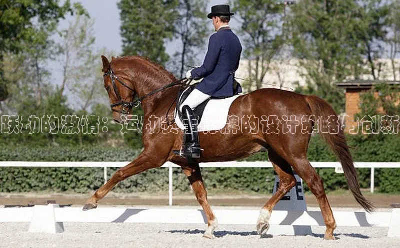 跃动的激情：运动赛事标牌的设计策略与创新