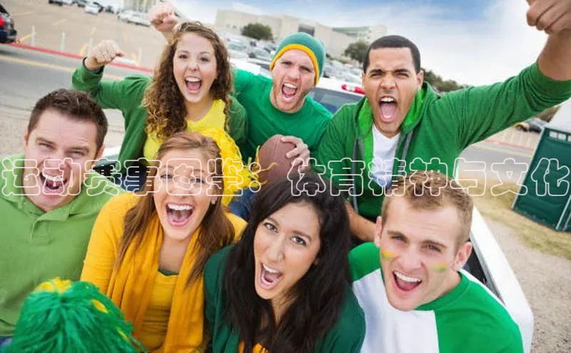 运动赛事图鉴：体育精神与文化