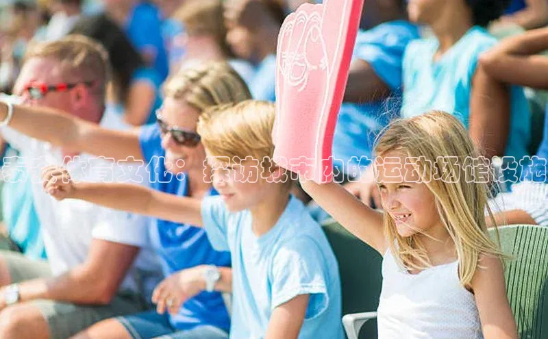 泰安体育文化：探访城市内的运动场馆设施